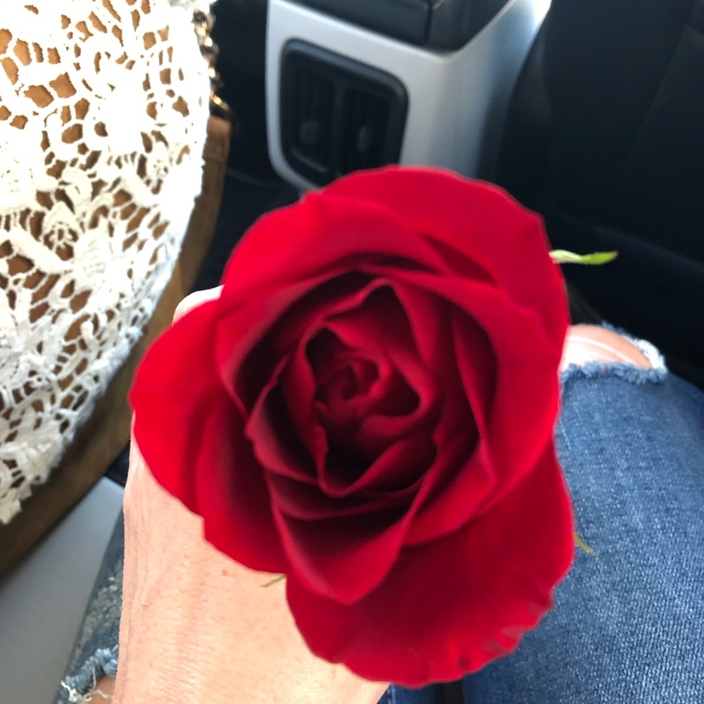 Meet your Posher, Jessica